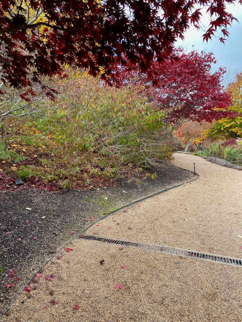 May 2023 Bathurst Mayfield Garden Tour Image -64605b21b57dc